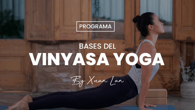Programa bases del vinyasa yoga