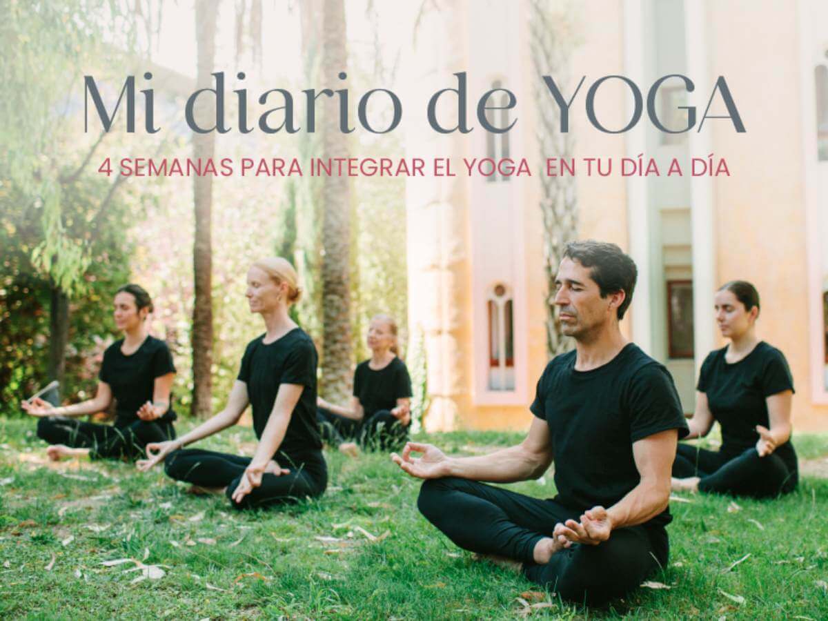 Nuevo reto de yoga en XLYStudio