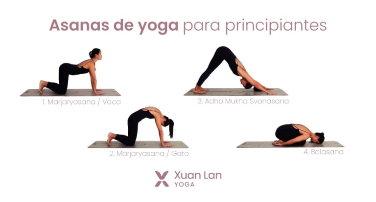 Yoga Para Principiantes Consejos Posturas Y Clases Xuan Lan Yoga