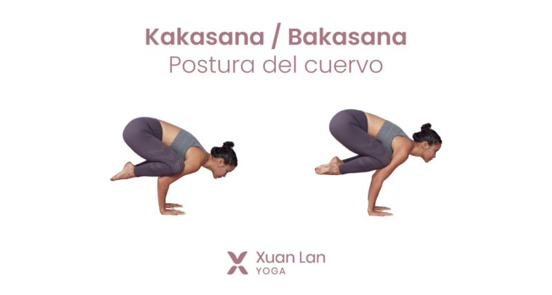 Bakasana o la postura del cuervo Xuan Lan Yoga
