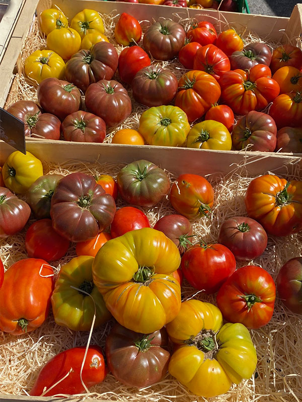 receta-tomates-saludable