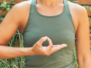 jnana-mudra-xuan-lan