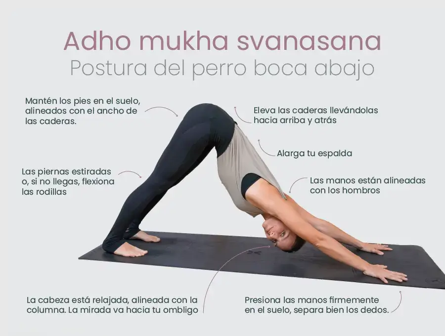 Persona en Adho Mukha Svanasana, postura del perro boca abajo, con alineación de manos, pies y espalda.