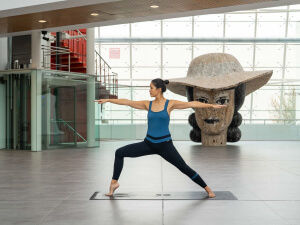Masterclass-de-vinyasa-yoga-en-el-Museo-Wurth-la-Rioja