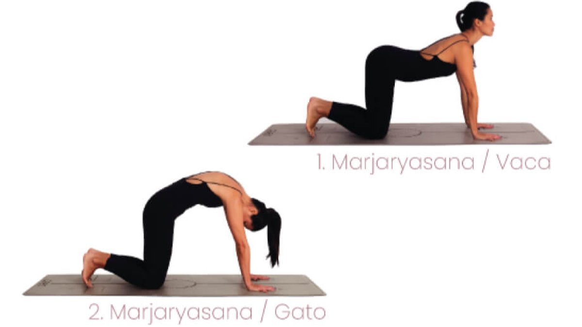 El gato-vaca en yoga, una postura para tu espalda - Xuan Lan Yoga