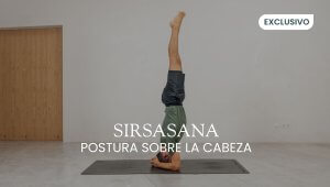 Tutorial Sirsasana en XYLStudio