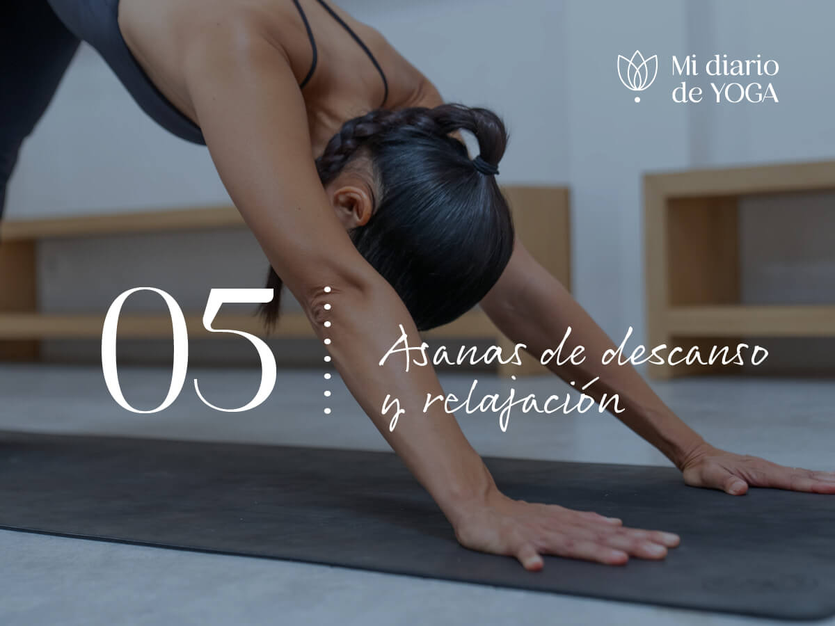 Día 5 mi diario de yoga