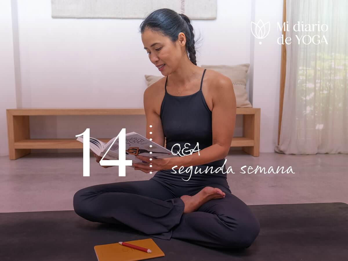 día 14 mi diario de yoga