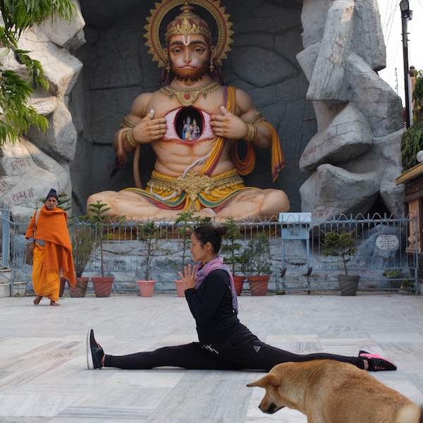 yoga rishikesh india