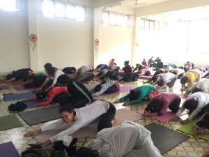 formación de yoga en india